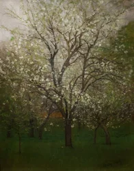 Blossoming Spring